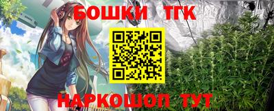 индика Усть-Илимск