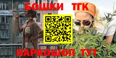 индика Усть-Илимск
