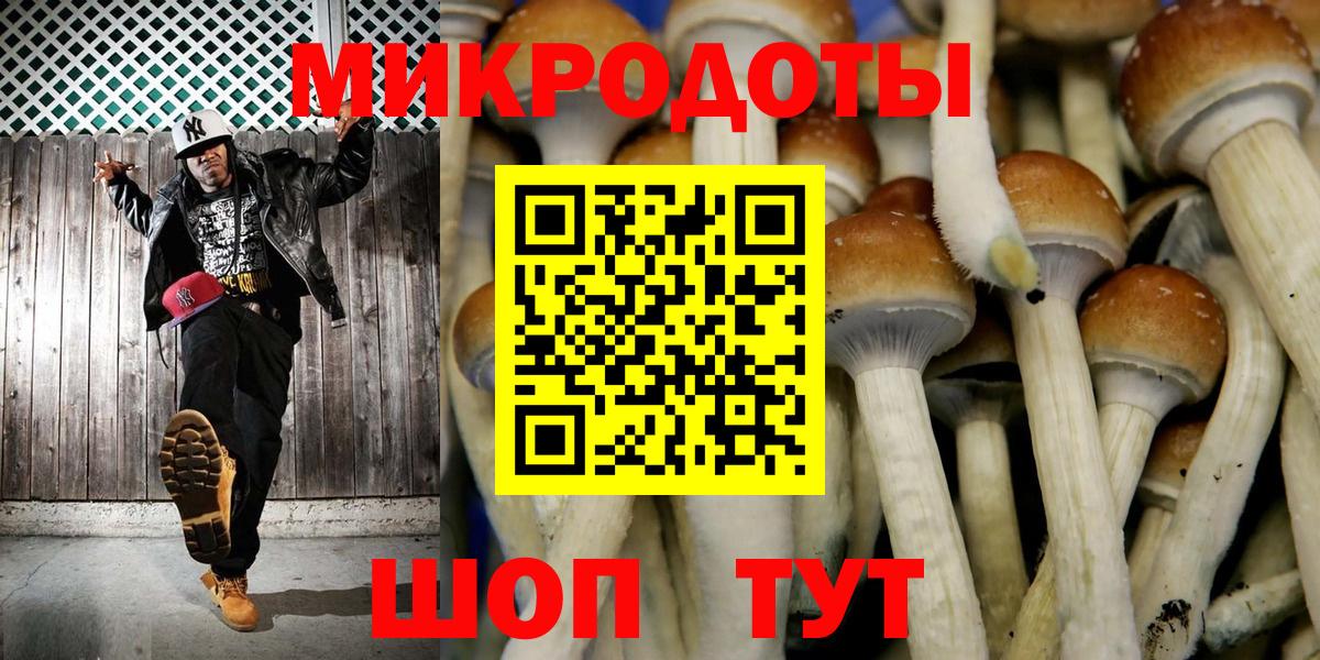 Галлюциногенные грибы GOLDEN TEACHER  Вход с VPN  Воронеж  Псилоцибиновые грибы MAGIC MUSHROOMS 